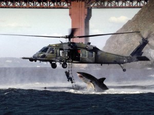 Shark Vs. Helicopter