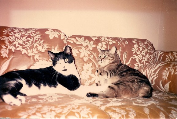 Barney & Fluffy - Christmas-Time 1988