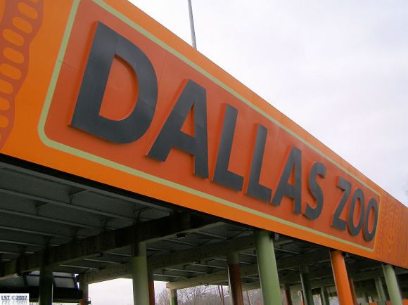Dallas Zoo