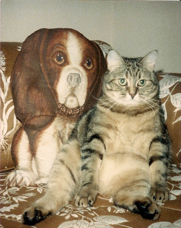 Fluffy The Manx Cat - Late-1987