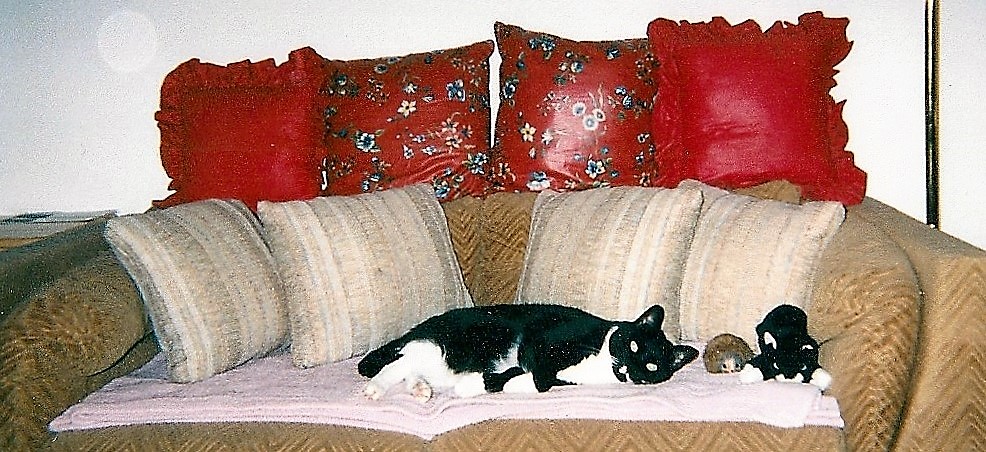 Boots On The Couch